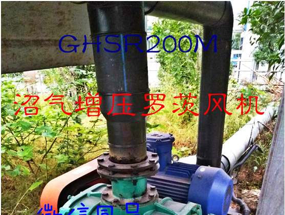 羅茨風(fēng)機(jī)